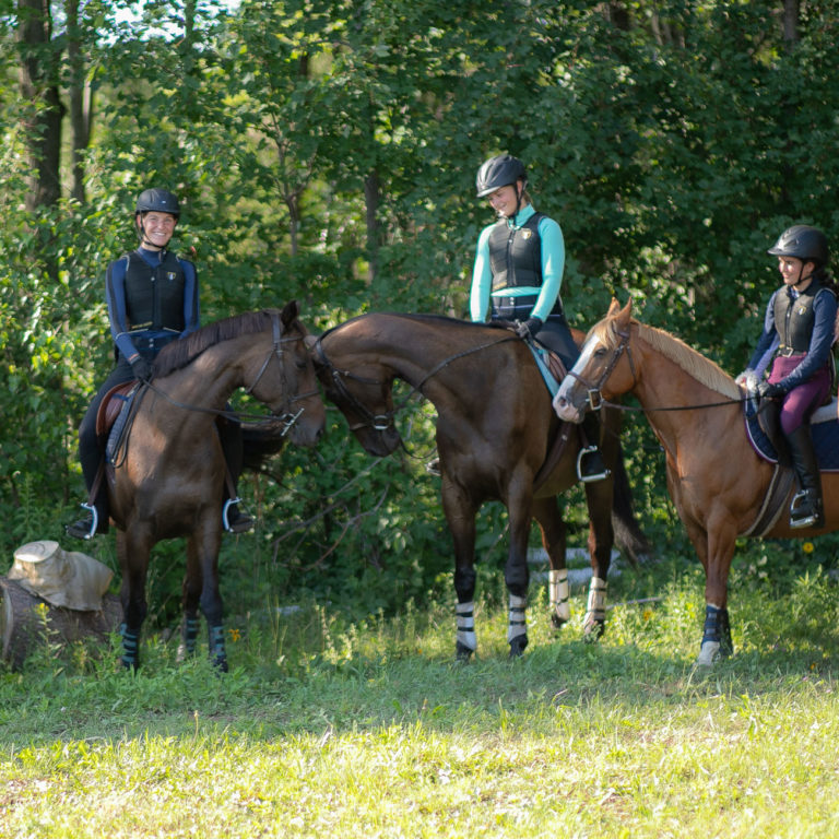 Centre Équestre MAC Activités exclusives