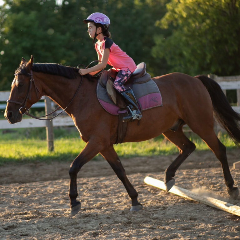 Centre Équestre MAC Cours d'équitation